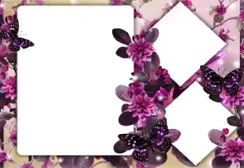 照片效果分类 女性相框 № 164747 照片效果分类 女性相框 № 164747