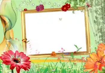 照片效果分类 女性相框 № 164790
