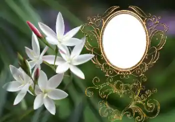 照片效果分类 女性相框 № 164897