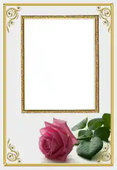 照片效果分类 女性相框 № 166019