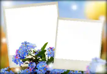 照片效果分类 女性相框 № 166068