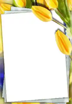 照片效果分类 女性相框 № 166167