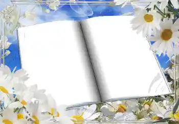 照片效果分类 女性相框 № 166181