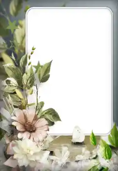照片效果分类 女性相框 № 166192