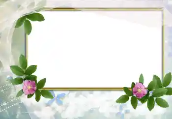 照片效果分类 女性相框 № 166503