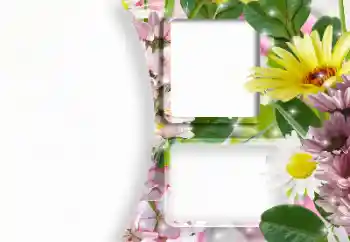 照片效果分类 女性相框 № 166607