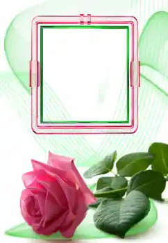 照片效果分类 女性相框 № 166634
