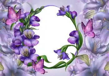 照片效果分类 女性相框 № 167768 照片效果分类 女性相框 № 167768