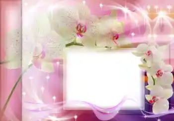 照片效果分类 女性相框 № 167835