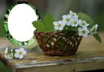 照片效果分类 女性相框 № 167999