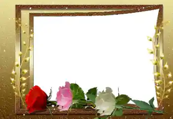 照片效果分类 女性相框 № 169033