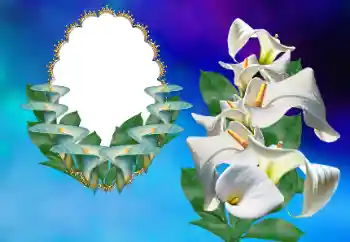 照片效果分类 女性相框 № 169156