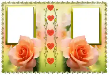 照片效果分类 女性相框 № 169227