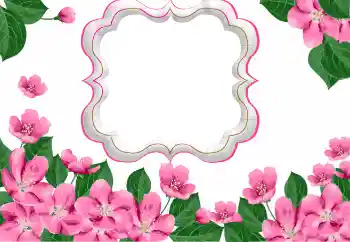 照片效果分类 女性相框 № 169271