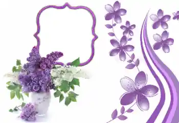 照片效果分类 女性相框 № 169273