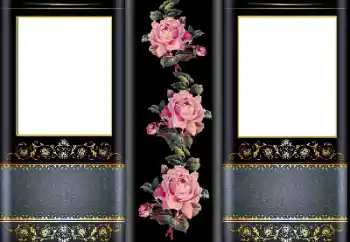 照片效果分类 女性相框 № 169323 照片效果分类 女性相框 № 169323