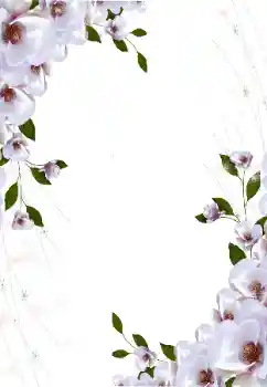 照片效果分类 女性相框 № 16997
