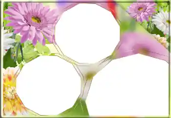 照片效果分类 女性相框 № 170418