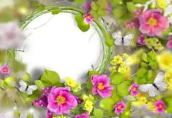 照片效果分类 女性相框 № 170446