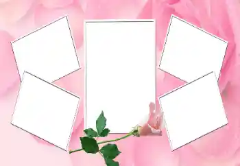 照片效果分类 女性相框 № 170552 照片效果分类 女性相框 № 170552