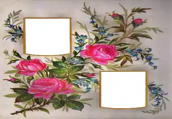 照片效果分类 女性相框 № 171684