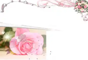 照片效果分类 女性相框 № 17183