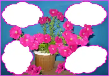 照片效果分类 女性相框 № 172980