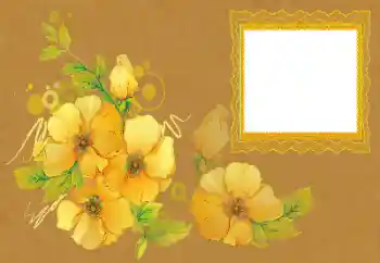 照片效果分类 女性相框 № 172996