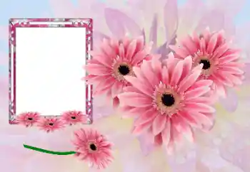 照片效果分类 女性相框 № 173021