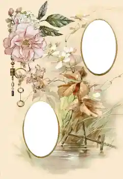 照片效果分类 女性相框 № 174098