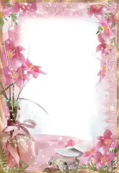 照片效果分类 女性相框 № 174188