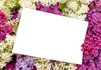 照片效果分类 女性相框 № 175408