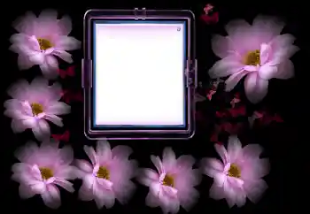 照片效果分类 女性相框 № 175502