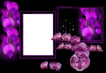 照片效果分类 女性相框 № 175544
