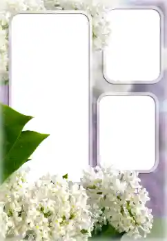 照片效果分类 女性相框 № 176613