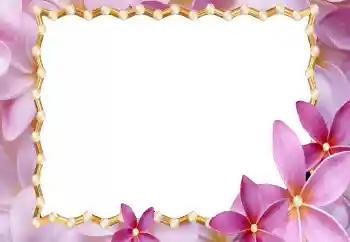 照片效果分类 女性相框 № 177920