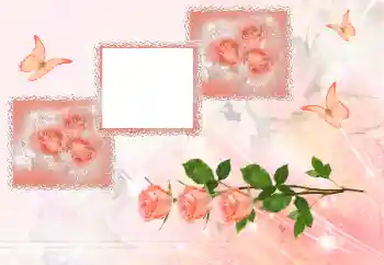 照片效果分类 女性相框 № 180707 照片效果分类 女性相框 № 180707
