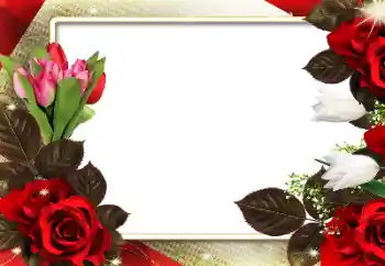 照片效果分类 女性相框 № 180712 照片效果分类 女性相框 № 180712