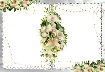 照片效果分类 女性相框 № 18187