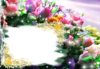 照片效果分类 女性相框 № 182144