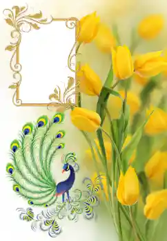 照片效果分类 女性相框 № 182161