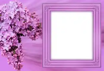 照片效果分类 女性相框 № 183304