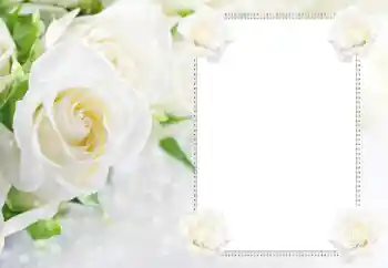 照片效果分类 女性相框 № 183434