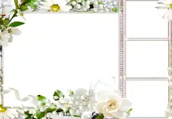 照片效果分类 女性相框 № 184586