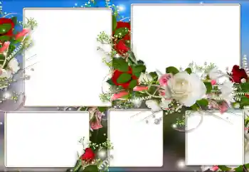 照片效果分类 女性相框 № 184590