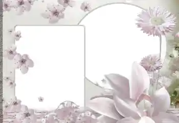 照片效果分类 女性相框 № 188139