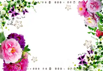 照片效果分类 女性相框 № 20199 照片效果分类 女性相框 № 20199