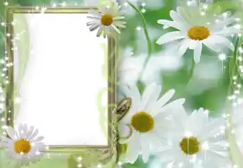 照片效果分类 女性相框 № 202 照片效果分类 女性相框 № 202
