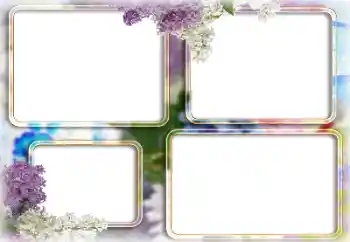 照片效果分类 女性相框 № 205361 照片效果分类 女性相框 № 205361