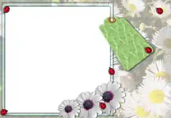 照片效果分类 女性相框 № 205379 照片效果分类 女性相框 № 205379